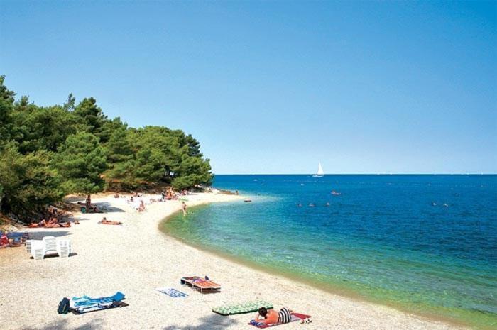 Apartment Golden Sun, Novigrad, Istria, Croatia Novigrad Istria Dış mekan fotoğraf