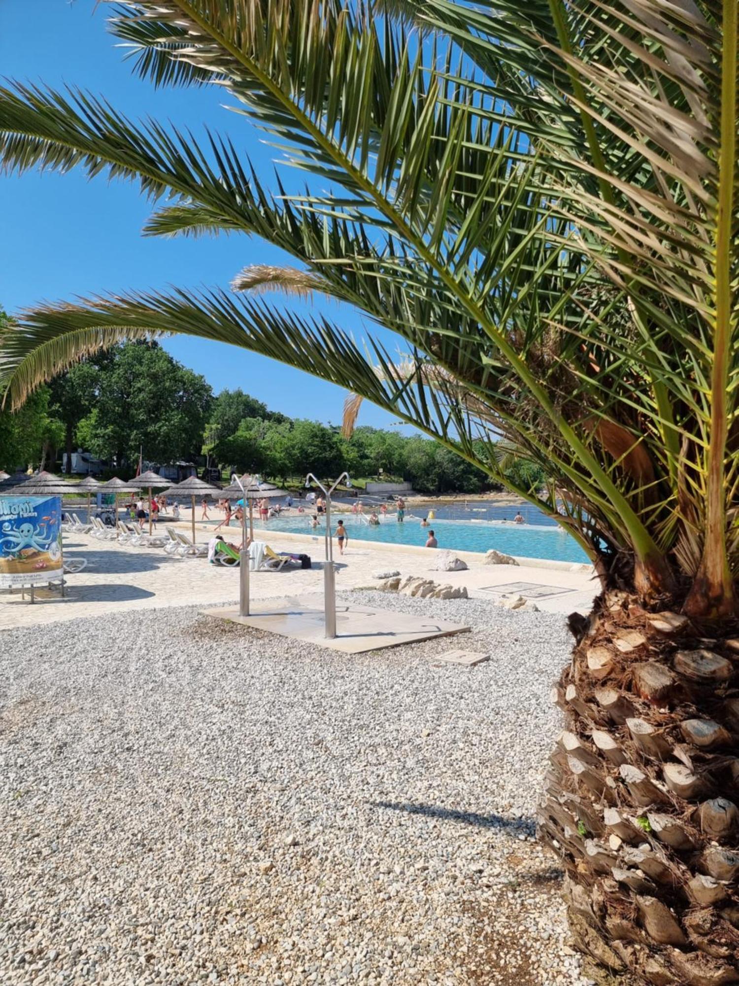 Apartment Golden Sun, Novigrad, Istria, Croatia Novigrad Istria Dış mekan fotoğraf